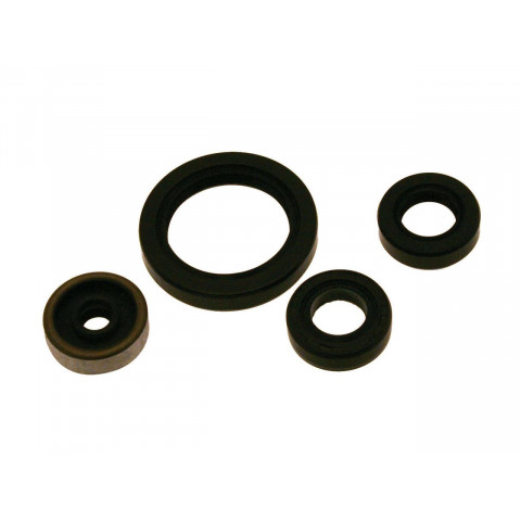 Kit joints spi bas-moteur CENTAURO Sherco SEF-R250