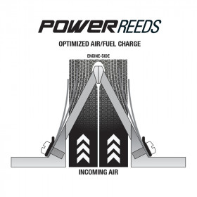 Clapets de rechange BOYESEN Power Reeds