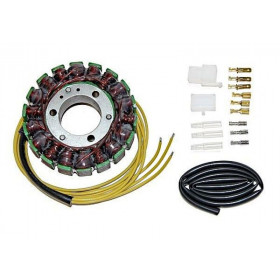 Stator ELECTROSPORT