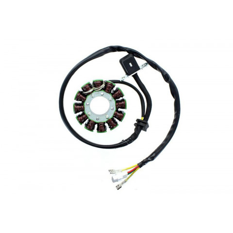 Stator ELECTROSPORT